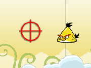 Birds Hunter