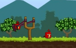 Crazy Birds